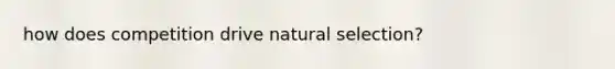 how does competition drive natural selection?