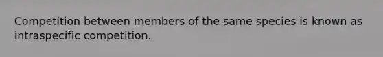 Competition between members of the same species is known as intraspecific competition.