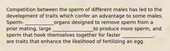 Competition between the sperm of different males has led to the development of traits which confer an advantage to some males. Sperm- ____________organs designed to remove sperm from a prior mating, large _________________to produce more sperm, and sperm that hook themselves together for faster _____________, are traits that enhance the likelihood of fertilizing an egg.