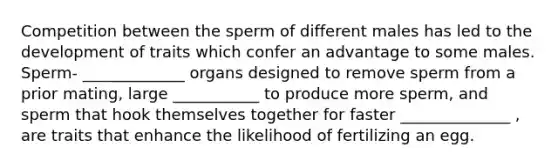 Competition between the sperm of different males has led to the development of traits which confer an advantage to some males. Sperm- _____________ organs designed to remove sperm from a prior mating, large ___________ to produce more sperm, and sperm that hook themselves together for faster ______________ , are traits that enhance the likelihood of fertilizing an egg.