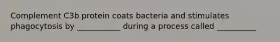 Complement C3b protein coats bacteria and stimulates phagocytosis by ___________ during a process called __________