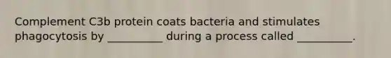 Complement C3b protein coats bacteria and stimulates phagocytosis by __________ during a process called __________.