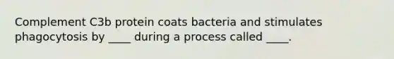 Complement C3b protein coats bacteria and stimulates phagocytosis by ____ during a process called ____.