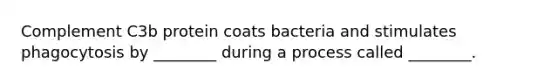 Complement C3b protein coats bacteria and stimulates phagocytosis by ________ during a process called ________.