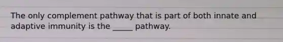 The only complement pathway that is part of both innate and adaptive immunity is the _____ pathway.