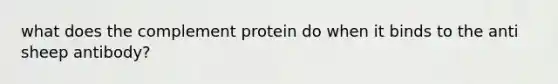 what does the complement protein do when it binds to the anti sheep antibody?