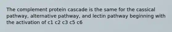 The complement protein cascade is the same for the cassical pathway, alternative pathway, and lectin pathway beginning with the activation of c1 c2 c3 c5 c6