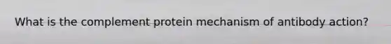 What is the complement protein mechanism of antibody action?