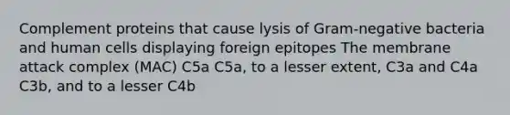 Complement proteins that cause lysis of Gram-negative bacteria and human cells displaying foreign epitopes The membrane attack complex (MAC) C5a C5a, to a lesser extent, C3a and C4a C3b, and to a lesser C4b