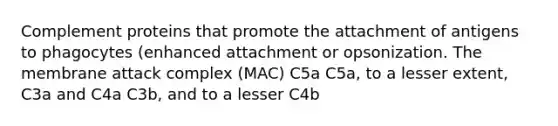 Complement proteins that promote the attachment of antigens to phagocytes (enhanced attachment or opsonization. The membrane attack complex (MAC) C5a C5a, to a lesser extent, C3a and C4a C3b, and to a lesser C4b