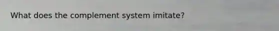 What does the complement system imitate?