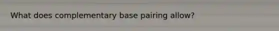 What does complementary base pairing allow?