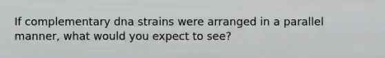 If complementary dna strains were arranged in a parallel manner, what would you expect to see?