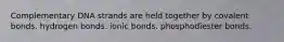 Complementary DNA strands are held together by covalent bonds. hydrogen bonds. ionic bonds. phosphodiester bonds.