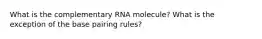 What is the complementary RNA molecule? What is the exception of the base pairing rules?