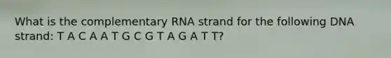 What is the complementary RNA strand for the following DNA strand: T A C A A T G C G T A G A T T?