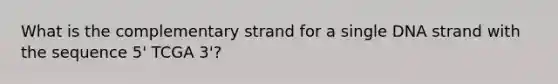 What is the complementary strand for a single DNA strand with the sequence 5' TCGA 3'?