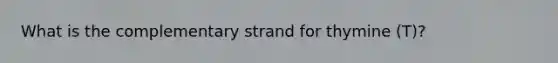 What is the complementary strand for thymine (T)?