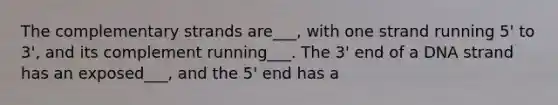 The complementary strands are___, with one strand running 5' to 3', and its complement running___. The 3' end of a DNA strand has an exposed___, and the 5' end has a