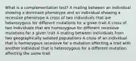 What is a complementation test? A mating between an individual showing a dominant phenotype and an individual showing a recessive phenotype A cross of two individuals that are heterozygous for different mutations for a given trait A cross of two individuals that are homozygous for different recessive mutations for a given trait A mating between individuals from two geographically isolated populations A cross of an individual that is homozygous recessive for a mutation affecting a trait with another individual that is heterozygous for a different mutation affecting the same trait