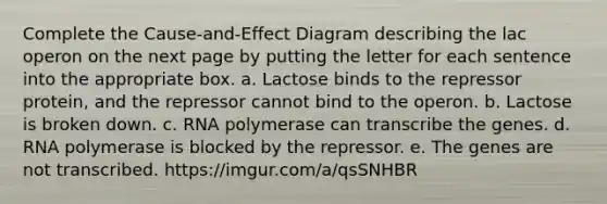 Complete the Cause-and-Effect Diagram describing the lac operon on the next page by putting the letter for each sentence into the appropriate box. a. Lactose binds to the repressor protein, and the repressor cannot bind to the operon. b. Lactose is broken down. c. RNA polymerase can transcribe the genes. d. RNA polymerase is blocked by the repressor. e. The genes are not transcribed. https://imgur.com/a/qsSNHBR