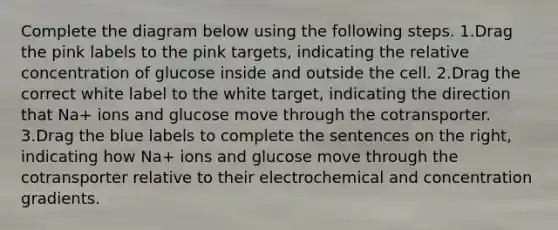 Complete the diagram below using the following steps. 1.Drag the pink labels to the pink targets, indicating the relative concentration of glucose inside and outside the cell. 2.Drag the correct white label to the white target, indicating the direction that Na+ ions and glucose move through the cotransporter. 3.Drag the blue labels to complete the sentences on the right, indicating how Na+ ions and glucose move through the cotransporter relative to their electrochemical and concentration gradients.