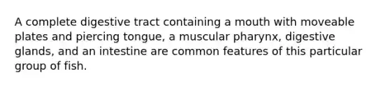 A complete digestive tract containing a mouth with moveable plates and piercing tongue, a muscular pharynx, digestive glands, and an intestine are common features of this particular group of fish.