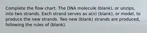 Complete the flow chart. The DNA molecule (blank), or unzips, into two strands. Each strand serves as a(n) (blank), or model, to produce the new strands. Two new (blank) strands are produced, following the rules of (blank).