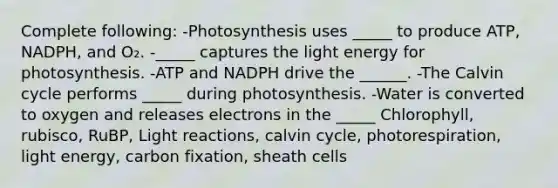 Complete following: -Photosynthesis uses _____ to produce ATP, NADPH, and O₂. -_____ captures the light energy for photosynthesis. -ATP and NADPH drive the ______. -The Calvin cycle performs _____ during photosynthesis. -Water is converted to oxygen and releases electrons in the _____ Chlorophyll, rubisco, RuBP, <a href='https://www.questionai.com/knowledge/kSUoWrrvoC-light-reactions' class='anchor-knowledge'>light reactions</a>, calvin cycle, photorespiration, light energy, carbon fixation, sheath cells