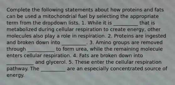 Complete the following statements about how proteins and fats can be used a mitochondrial fuel by selecting the appropriate term from the dropdown lists. 1. While it is __________ that is metabolized during cellular respiration to create energy, other molecules also play a role in respiration. 2. Proteins are ingested and broken down into __________. 3. Amino groups are removed through ___________ to form urea, while the remaining molecule enters cellular respiration. 4. Fats are broken down into ___________ and glycerol. 5. These enter the cellular respiration pathway. The __________ are an especially concentrated source of energy.