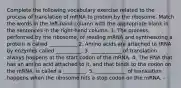 Complete the following vocabulary exercise related to the process of translation of mRNA to protein by the ribosome. Match the words in the left-hand column with the appropriate blank in the sentences in the right-hand column. 1. The process, performed by the ribosome, of reading mRNA and synthesizing a protein is called ___________ 2. Amino acids are attached to tRNA by enzymes called __________. 3. ____________ of translation always happens at the start codon of the mRNA. 4. The RNA that has an amino acid attached to it, and that binds to the codon on the mRNA, is called a _________. 5. ____________ of translation happens when the ribosome hits a stop codon on the mRNA. -