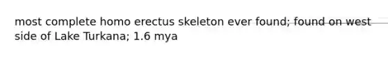 most complete homo erectus skeleton ever found; found on west side of Lake Turkana; 1.6 mya