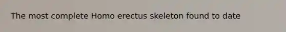 The most complete Homo erectus skeleton found to date