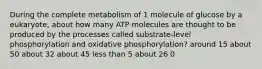 During the complete metabolism of 1 molecule of glucose by a eukaryote, about how many ATP molecules are thought to be produced by the processes called substrate-level phosphorylation and oxidative phosphorylation? around 15 about 50 about 32 about 45 less than 5 about 26 0