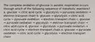 The complete oxidation of glucose in aerobic respiration occurs through which of the following sequence of metabolic reactions? a. glucose → citric acid cycle → glycolysis → pyruvate oxidation → electron transport chain b. glucose → glycolysis → citric acid cycle → pyruvate oxidation → electron transport chain c. glucose → pyruvate oxidation → glycolysis → electron transport chain → citric acid cycle d. glucose → glycolysis → pyruvate oxidation → citric acid cycle → electron transport chain e. glucose → pyruvate oxidation → citric acid cycle → glycolysis → electron transport chain