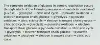 The complete oxidation of glucose in aerobic respiration occurs through which of the following sequence of metabolic reactions? glucose → glycolysis → citric acid cycle → pyruvate oxidation → electron transport chain glucose → glycolysis → pyruvate oxidation → citric acid cycle → electron transport chain glucose → citric acid cycle → glycolysis → pyruvate oxidation → electron transport chain glucose → pyruvate oxidation → citric acid cycle → glycolysis → electron transport chain glucose → pyruvate oxidation → glycolysis → electron transport chain → citric acid cycle