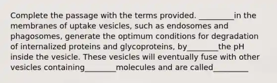 Complete the passage with the terms provided. _________in the membranes of uptake vesicles, such as endosomes and phagosomes, generate the optimum conditions for degradation of internalized proteins and glycoproteins, by________the pH inside the vesicle. These vesicles will eventually fuse with other vesicles containing________molecules and are called_________