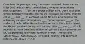 Complete the passage using the terms provided: Some natural killer (NK) cells express the inhibitory receptor heterodimer ____ that recognizes ____ on the surface of host cells. Upon activation of this inhibitory receptor, the NK cell receives the signal that the cell is ___, and ___. In contrast, some NK cells also express the activating receptor heterodimer ___ that recognizes ____ on the surface of cells. When this activation receptor binds to its ligand, the NK cell receives the signal that the cell is ___, and ___. Which receptor is more prevalent on the NK cell will dictate whether the NK cell performs its effector function or not? - moves long - CD94:NKG2A - CD94:NKG2C -stressed -healthy -IFN gamma R -kills the cell -HLA-E -HLA-C