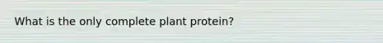 What is the only complete plant protein?