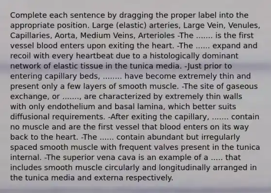 Complete each sentence by dragging the proper label into the appropriate position. Large (elastic) arteries, Large Vein, Venules, Capillaries, Aorta, Medium Veins, Arterioles -The ....... is the first vessel blood enters upon exiting the heart. -The ...... expand and recoil with every heartbeat due to a histologically dominant network of elastic tissue in the tunica media. -Just prior to entering capillary beds, ........ have become extremely thin and present only a few layers of smooth muscle. -The site of gaseous exchange, or ......., are characterized by extremely thin walls with only endothelium and basal lamina, which better suits diffusional requirements. -After exiting the capillary, ....... contain no muscle and are the first vessel that blood enters on its way back to the heart. -The ...... contain abundant but irregularly spaced smooth muscle with frequent valves present in the tunica internal. -The superior vena cava is an example of a ..... that includes smooth muscle circularly and longitudinally arranged in the tunica media and externa respectively.