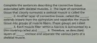 Complete the sentences describing the connective tissue associated with skeletal muscles. 1. The layer of connective tissue that closely surrounds a skeletal muscle is called the ______. 2. Another layer of connective tissue, called the ______, extends inward from the epimysium and separates the muscle tissue into groups of muscle fibers. These groups are called ______. 3. Each muscle fiber within a fascicle is surrounded by a thin covering called a(n) ______. 4. Therefore, as described, layers of ______ enclose and separate the various parts of a skeletal muscle.