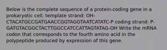 Below is the complete sequence of a protein-coding gene in a prokaryotic cell. template strand: OH-CTACATGCCGATGAACCGGTAGGTAATCATATC-P coding strand: P-GATGTACGGCTACTTGGCCATCCATTAGTATAG-OH Write the mRNA codon that corresponds to the fourth amino acid in the polypeptide produced by expression of this gene.