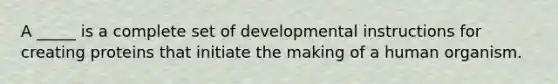 A _____ is a complete set of developmental instructions for creating proteins that initiate the making of a human organism.