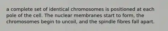 a complete set of identical chromosomes is positioned at each pole of the cell. The nuclear membranes start to form, the chromosomes begin to uncoil, and the spindle fibres fall apart.