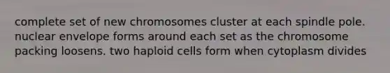 complete set of new chromosomes cluster at each spindle pole. nuclear envelope forms around each set as the chromosome packing loosens. two haploid cells form when cytoplasm divides