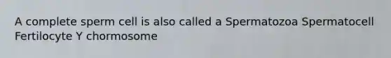 A complete sperm cell is also called a Spermatozoa Spermatocell Fertilocyte Y chormosome