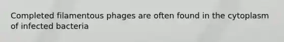 Completed filamentous phages are often found in the cytoplasm of infected bacteria