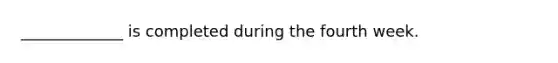 _____________ is completed during the fourth week.