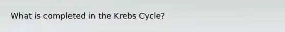 What is completed in the Krebs Cycle?