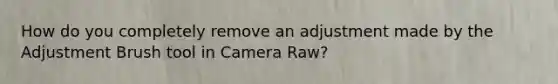 How do you completely remove an adjustment made by the Adjustment Brush tool in Camera Raw?